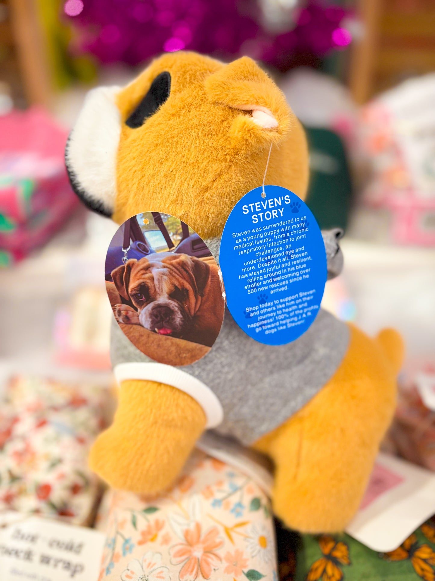 Steven J.A.R. Plushie *PRE ORDER: APRIL ARRIVAL*